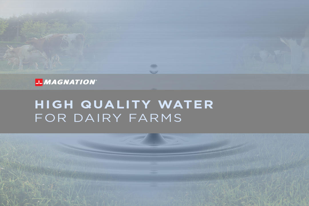 Improved Dairy Farms with Higher Water Quality