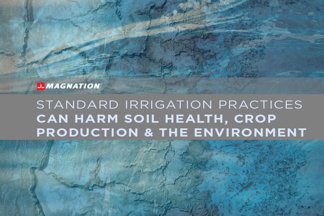 Standard Irrigation Practices Can Harm Soil Health, Crop Production & the Environment